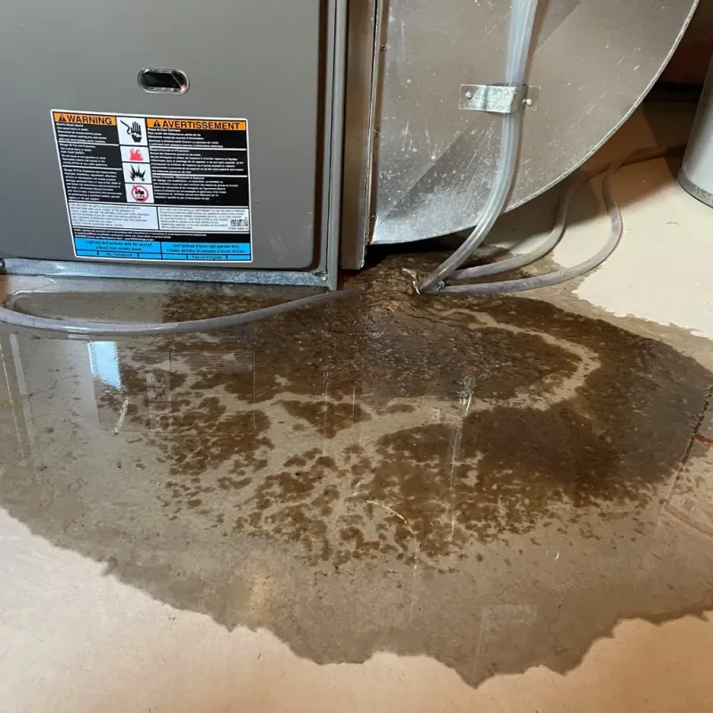 Appliance Leak Cleanup in West Sedona, AZ