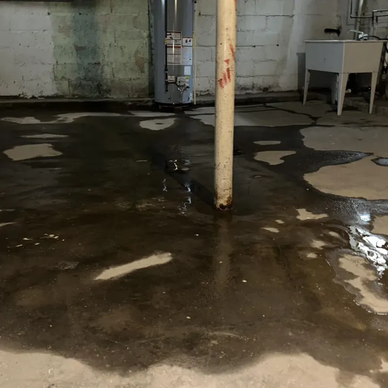 Emergency Water Extraction And Removal in West Sedona, AZ